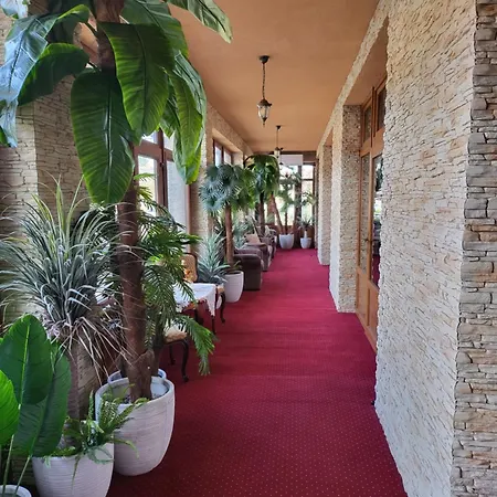 Voeroes Alom Panzio 4*